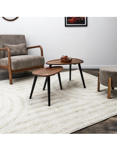 ACACIA - Ensemble de 2 tables...