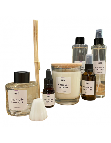 ORCHIDEE SAUVAGE - Bougie en cire...