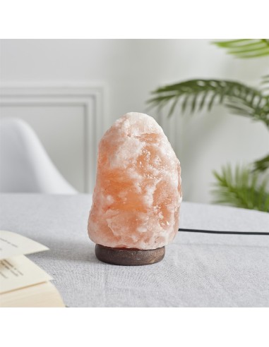 Lampe de sel socle en bois