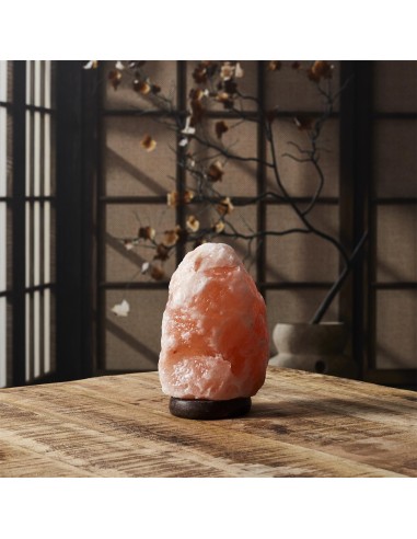 Lampe de sel socle en bois