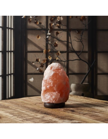 Lampe de sel socle en bois