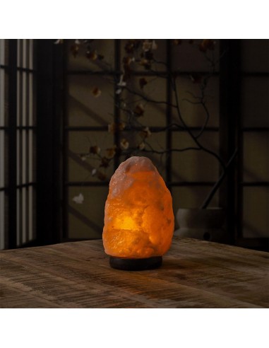 Lampe de sel socle en bois