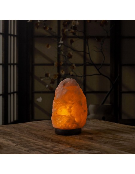 Lampe de sel socle en bois