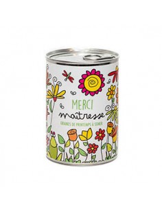 Kit à semer "Merci maîtresse "