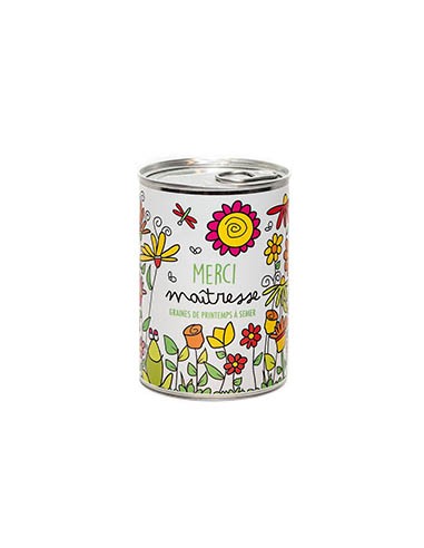Kit à semer "Merci maîtresse "