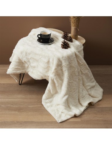 Plaid Imitation Fourrure à Anse Blanc...