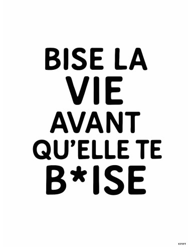Affiche Bise la vie avant qu’elle te b*ise 30x40 cm | Déco humoristique