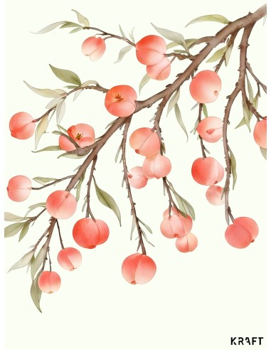 Affiche branche de pêches 30x40 illustration botanique déco naturelle France