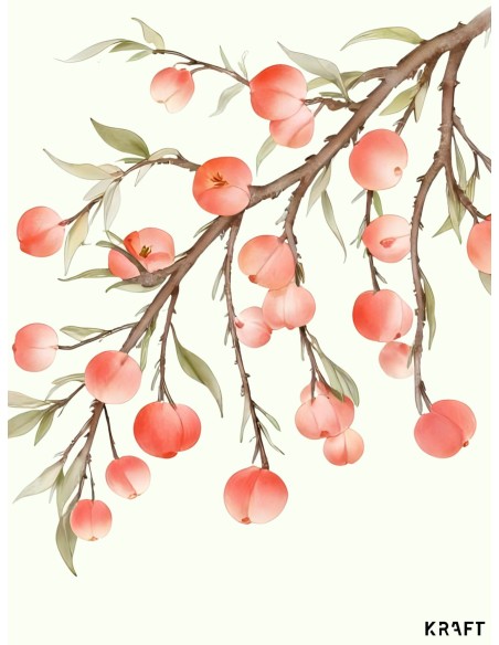 Affiche branche de pêches 30x40 illustration botanique déco naturelle France