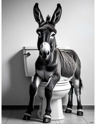 Affiche âne humour noir et blanc 30x40 déco murale originale France