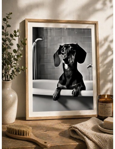 Affiche teckel noir et blanc 30x40 déco murale originale France