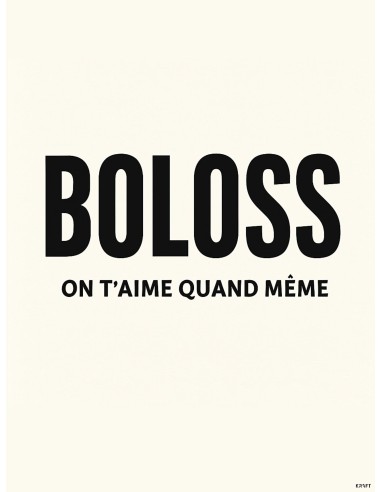 Affiche humour boloss 30x40 déco drôle minimaliste
