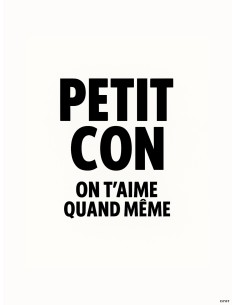 Affiche petit con humour cadeau original deco 30x40 2