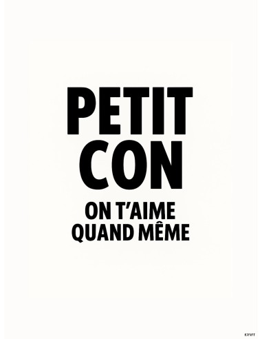 Affiche petit con humour cadeau original deco 30x40