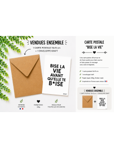Carte humour provocant bise la vie avec enveloppe kraft 10x15 2