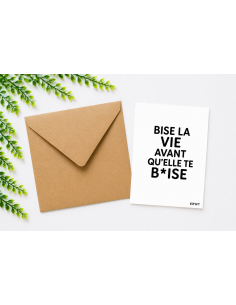 Carte humour provocant bise la vie avec enveloppe kraft 10x15