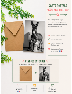 Carte humoristique âne toilettes carte drôle avec enveloppe kraft 10x15 2