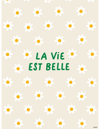 Affiche La Vie Est Belle Marguerites 30x40 – Décoration florale bohème