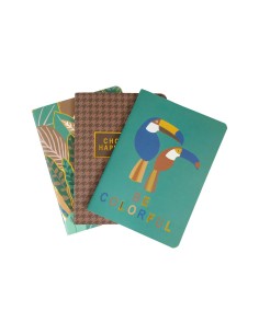 Lot 3 carnets A6 jungle colorés