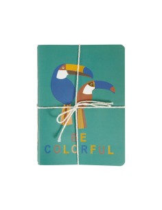Lot 3 carnets A6 jungle colorés 2