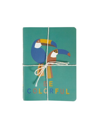 Lot 3 carnets A6 jungle colorés