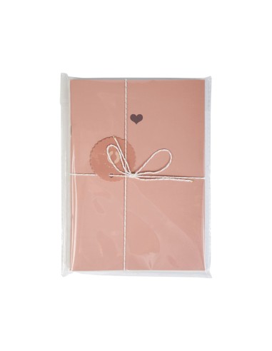 Lot 2 carnets A5 roses élégants