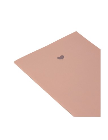 Lot 2 carnets A5 roses élégants