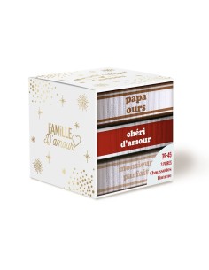 Coffret Trio Chaussettes Papa Ours Homme 39-45