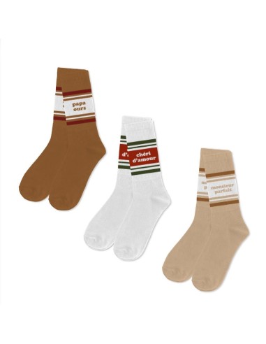 Coffret Trio Chaussettes Papa Ours Homme 39-45